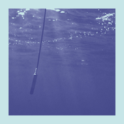 La Baleine et Le Musicien (Edit)