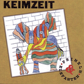 Keimzeit – Primeln und Elefanten