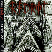 Cathedral of Filth