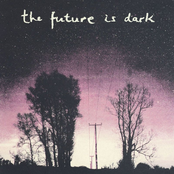 The Future Is Dark cover