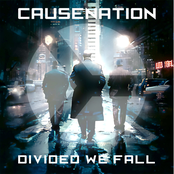 Divided We Fall
