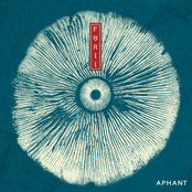 Aphant