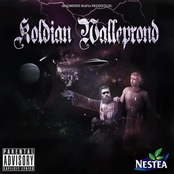KOLDIAN WALLEPROND
