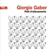 Polli di allevamento