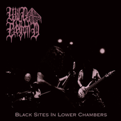 Black Sites In Lower Chambers