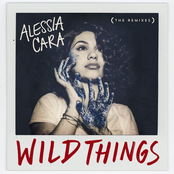 Wild Things (The Remixes) cover