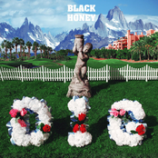 Dig cover