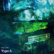 Type A (Demo)