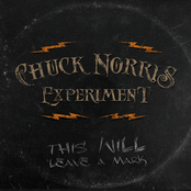 The Chuck Norris Experiment – This Will Leave A Mark