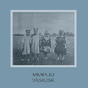 Mkwaju