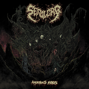 Amorphous Mass