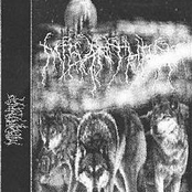 Misanthrop