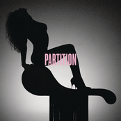Partition cover