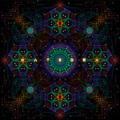 We Are Not Alone