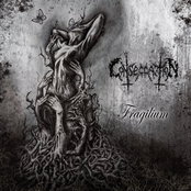 Fragilium