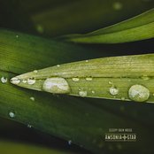 Sleepy Rain Noise