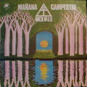 Mañana campestre