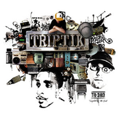 TR-303