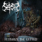 Fetishize the Gutted