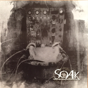 Soak
