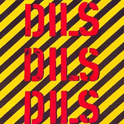 Dils Dils Dils