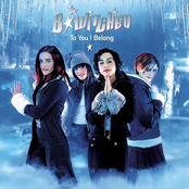 To You I Belong cover