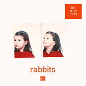 Rabbits