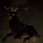 Black Goat