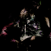 Cardiosphere