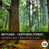 Northern Forest