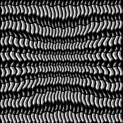 Psychedelic Black
