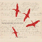 Invisible Birds