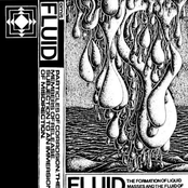 Fluid