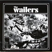 The Wailers – The Wailers - Out of Our Tree