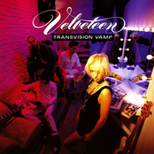 Velveteen (Re-Presents) cover
