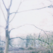 Landscape 03