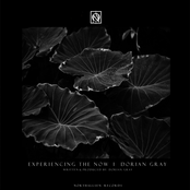 Experiencing The Now