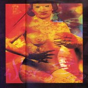 I Think I Miss You by Whipping Boy