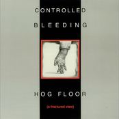 Hog Floor