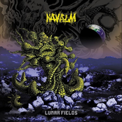 Lunar Fields