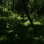 Almindingen