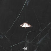 Luminous Butterfly