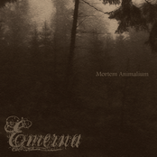 Mortem Animalium