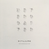 Heterogaster