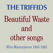 Beautiful Waste and other songs