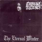 The Eternal Winter