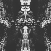 Stags / Nourish