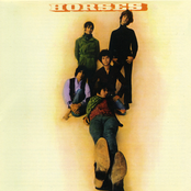 Horses