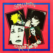 Sharp Teeth