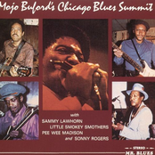 Mojo Buford's Chicago Blues Summit
